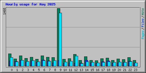 Hourly usage for May 2025