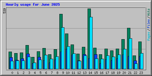 Hourly usage for June 2025