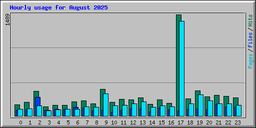 Hourly usage for August 2025
