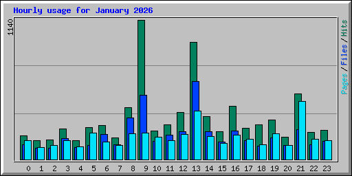 Hourly usage for January 2026